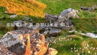 泰国第1芒果 婆罗门米亚 甜么 泰国第1芒果 婆罗门米亚 甜么