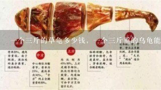 1个3斤的草龟多少钱,1个3斤重的乌龟能值多少钱 1个3斤的草龟多少钱,1个3斤重的乌龟能值多少钱