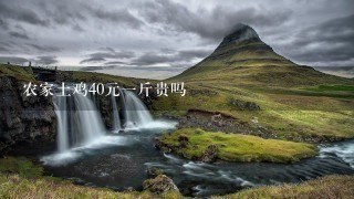 农家土鸡40元1斤贵吗 农家土鸡40元1斤贵吗