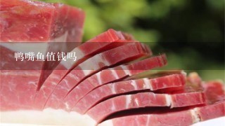 鸭嘴鱼值钱吗 鸭嘴鱼值钱吗