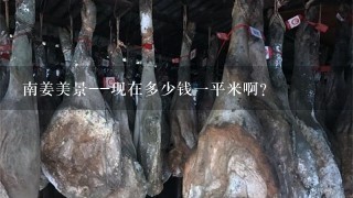 南姜美景--现在多少钱1平米啊? 南姜美景--现在多少钱1平米啊?