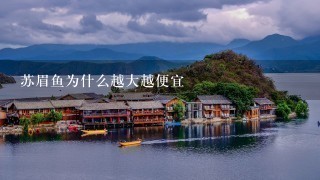 苏眉鱼为什么越大越便宜 苏眉鱼为什么越大越便宜