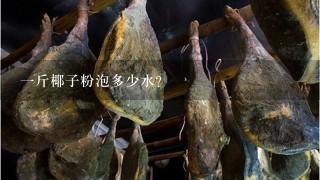 1斤椰子粉泡多少水? 1斤椰子粉泡多少水?