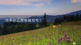 日本什么柑桔最好吃? 日本什么柑桔最好吃?