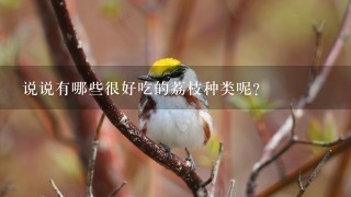 说说有哪些很好吃的荔枝种类呢? 说说有哪些很好吃的荔枝种类呢?