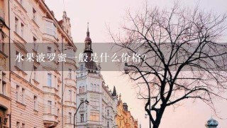 水果波罗蜜1般是什么价格? 水果波罗蜜1般是什么价格?
