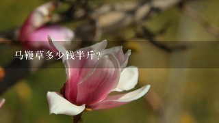 马鞭草多少钱半斤? 马鞭草多少钱半斤?
