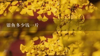 银鱼多少钱1斤 银鱼多少钱1斤