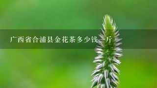 广西省合浦县金花茶多少钱1斤 广西省合浦县金花茶多少钱1斤