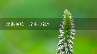 北海鱼胶1斤多少钱? 北海鱼胶1斤多少钱?