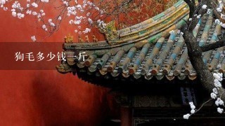 狗毛多少钱1斤 狗毛多少钱1斤