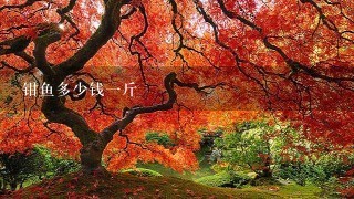 钳鱼多少钱1斤 钳鱼多少钱1斤