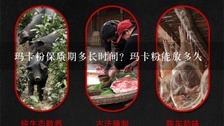 玛卡粉保质期多长时间?玛卡粉能放多久 玛卡粉保质期多长时间?玛卡粉能放多久