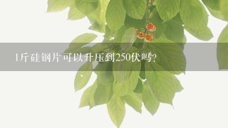 1斤硅钢片可以升压到250伏吗? 1斤硅钢片可以升压到250伏吗?