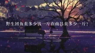野生团鱼卖多少钱1斤在南昌卖多少1斤? 野生团鱼卖多少钱1斤在南昌卖多少1斤?