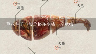 草花种子1般价格多少钱1斤哦哦 草花种子1般价格多少钱1斤哦哦