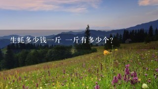 生蚝多少钱1斤 1斤有多少个? 生蚝多少钱1斤 1斤有多少个?