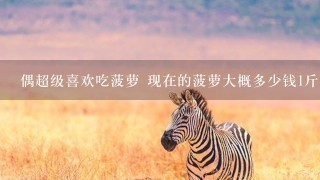 偶超级喜欢吃菠萝 现在的菠萝大概多少钱1斤? 偶超级喜欢吃菠萝 现在的菠萝大概多少钱1斤?
