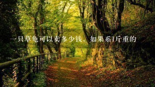 1只草龟可以卖多少钱,如果系1斤重的 1只草龟可以卖多少钱,如果系1斤重的