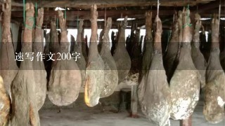 速写作文200字 速写作文200字