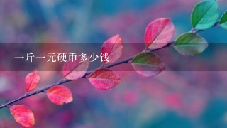 1斤1元硬币多少钱 1斤1元硬币多少钱