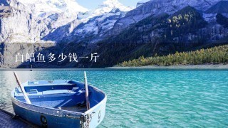 白鲳鱼多少钱1斤 白鲳鱼多少钱1斤