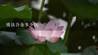 废钛合金多少钱1斤 废钛合金多少钱1斤