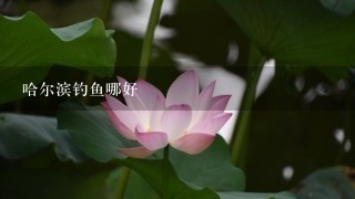 哈尔滨钓鱼哪好 哈尔滨钓鱼哪好