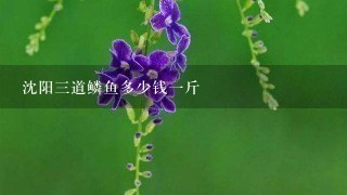 沈阳3道鳞鱼多少钱1斤 沈阳3道鳞鱼多少钱1斤