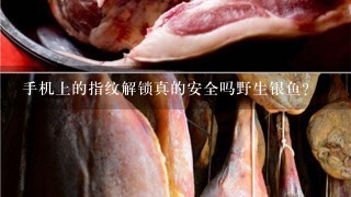 手机上的指纹解锁真的安全吗野生银鱼? 手机上的指纹解锁真的安全吗野生银鱼?