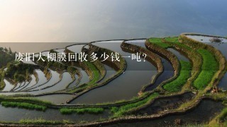废旧大棚膜回收多少钱1吨? 废旧大棚膜回收多少钱1吨?