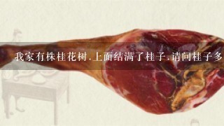 我家有株桂花树.上面结满了桂子.请问桂子多少钱1斤 我家有株桂花树.上面结满了桂子.请问桂子多少钱1斤