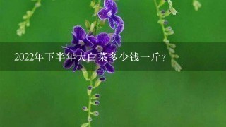 2022年下半年大白菜多少钱1斤? 2022年下半年大白菜多少钱1斤?