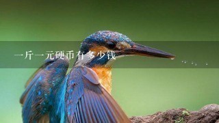 1斤1元硬币有多少钱 1斤1元硬币有多少钱