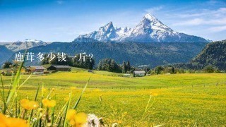 鹿茸多少钱1斤? 鹿茸多少钱1斤?