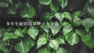 多年生耐阴牧草种子多少钱1斤 多年生耐阴牧草种子多少钱1斤
