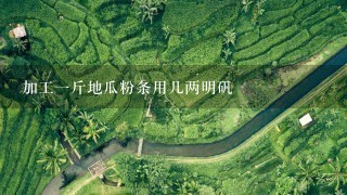 加工1斤地瓜粉条用几两明矾 加工1斤地瓜粉条用几两明矾