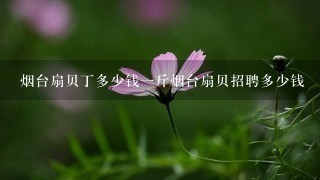 烟台扇贝丁多少钱1斤烟台扇贝招聘多少钱 烟台扇贝丁多少钱1斤烟台扇贝招聘多少钱