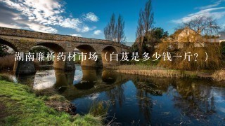 湖南廉桥药材市场(白芨是多少钱1斤?) 湖南廉桥药材市场(白芨是多少钱1斤?)