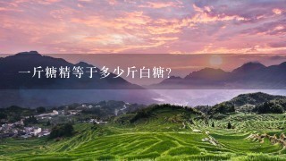 1斤糖精等于多少斤白糖? 1斤糖精等于多少斤白糖?