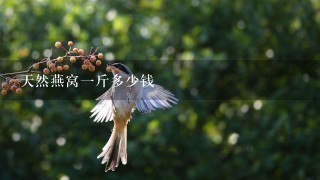 天然燕窝1斤多少钱 天然燕窝1斤多少钱