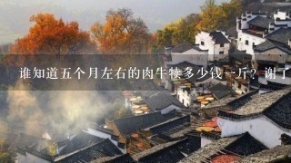 谁知道5个月左右的肉牛犊多少钱1斤?谢了! 谁知道5个月左右的肉牛犊多少钱1斤?谢了!