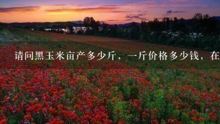 请问黑玉米亩产多少斤,1斤价格多少钱,在哪里可以 请问黑玉米亩产多少斤,1斤价格多少钱,在哪里可以