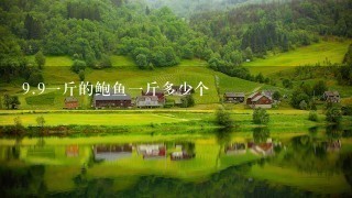 9.91斤的鲍鱼1斤多少个 9.91斤的鲍鱼1斤多少个