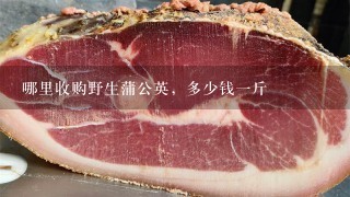 哪里收购野生蒲公英,多少钱1斤 哪里收购野生蒲公英,多少钱1斤