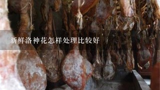 新鲜洛神花怎样处理比较好 新鲜洛神花怎样处理比较好