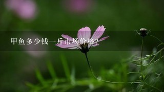 甲鱼多少钱1斤市场价格? 甲鱼多少钱1斤市场价格?