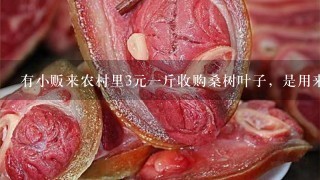 有小贩来农村里3元1斤收购桑树叶子,是用来干什么 有小贩来农村里3元1斤收购桑树叶子,是用来干什么
