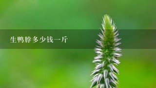 生鸭脖多少钱1斤 生鸭脖多少钱1斤