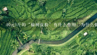 10元1斤的“榆树皮粉”有什么作用,为什么做面条要加上它? 10元1斤的“榆树皮粉”有什么作用,为什么做面条要加上它?